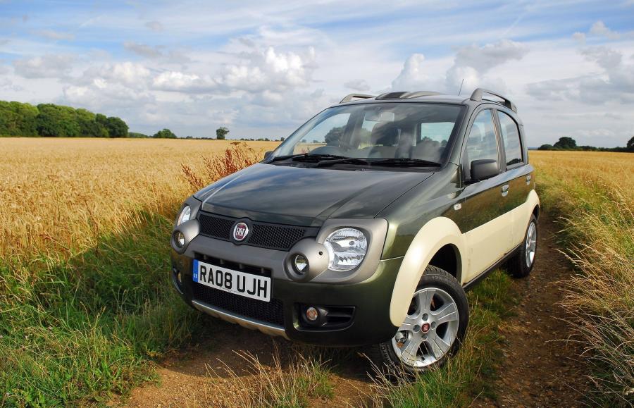  Fiat Panda Cross 2008 года  (фото 18 из 19)
